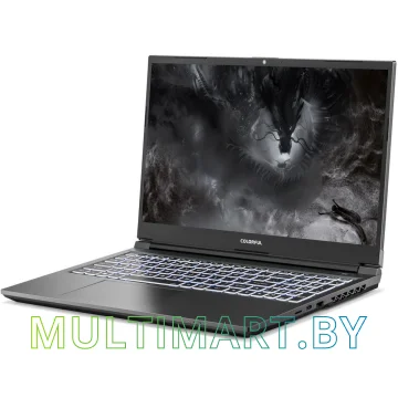 Игровой ноутбук Colorful X15 XS A10205400040